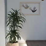 Casa Blue Dove Appartement *