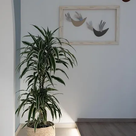 Casa Blue Dove شقة *