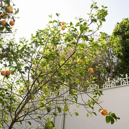 Casa Blue Dove شقة