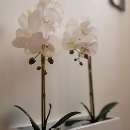 Casa Blue Dove 아파트 하니아