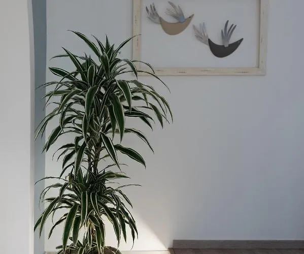 Casa Blue Dove Apartament *