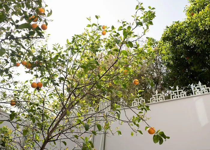 Casa Blue Dove Apartament