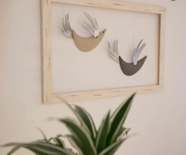 Casa Blue Dove アパート